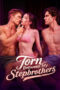 Torn_Stepbrothers